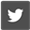 Twitter Link
